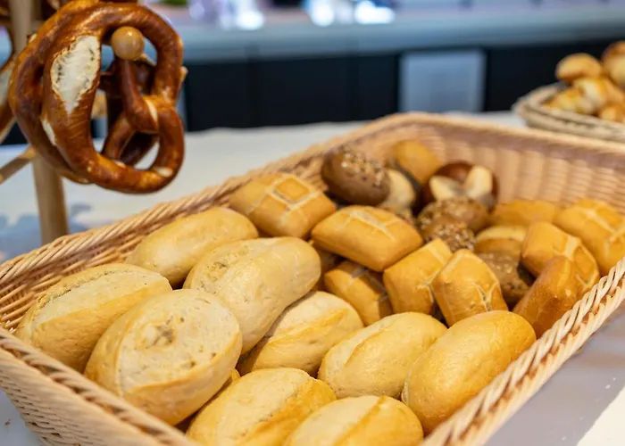 Hotel Plaza Messe 3*