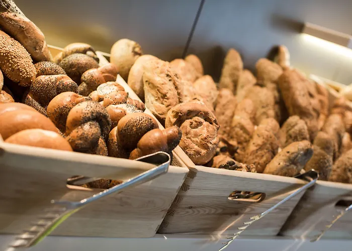 Plaza Messe Ξενοδοχείο Γκρατς